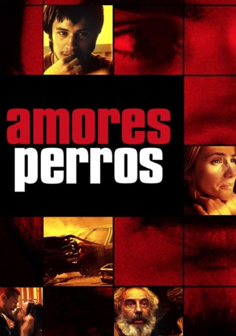 Filmforum Wil: Amores Perros (1/1)