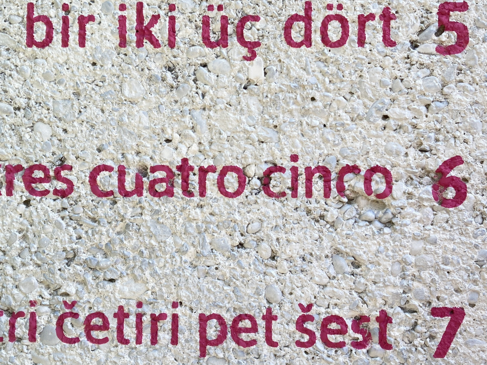 "In welcher Sprache zählst du?" (1/1)